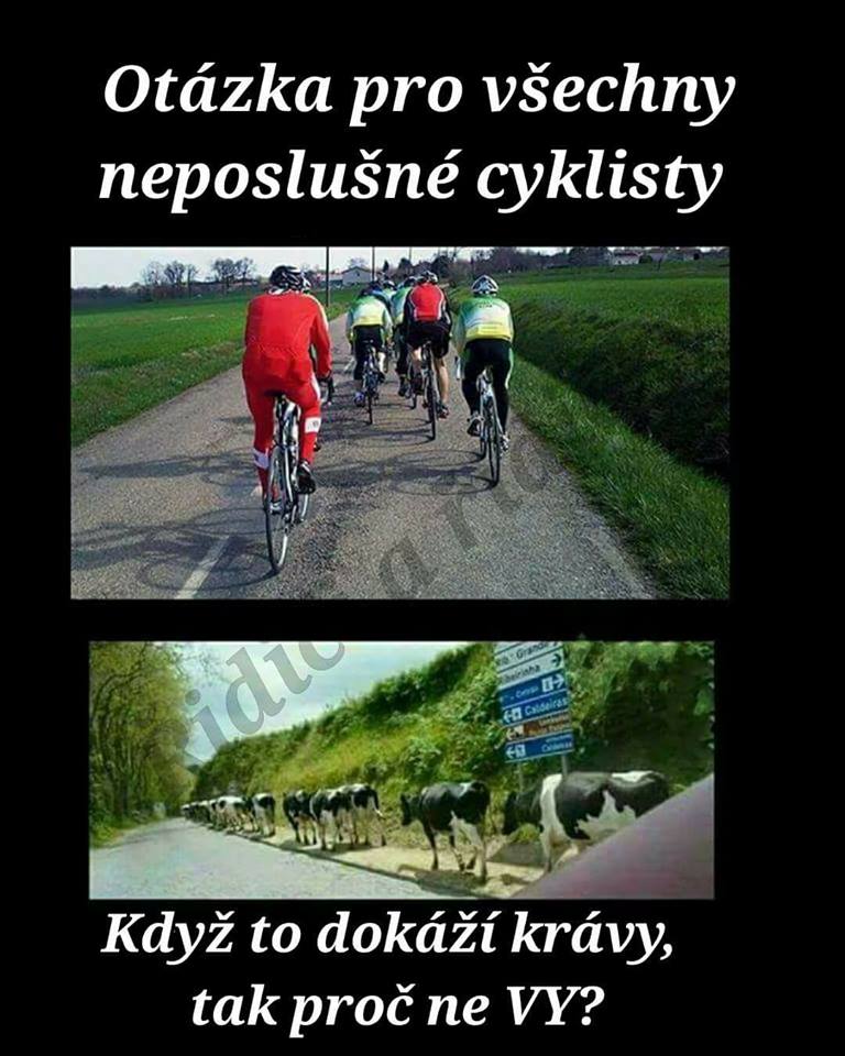 cyklo.jpg