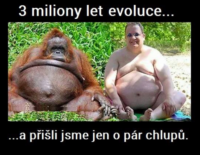 mužská evoluce.png