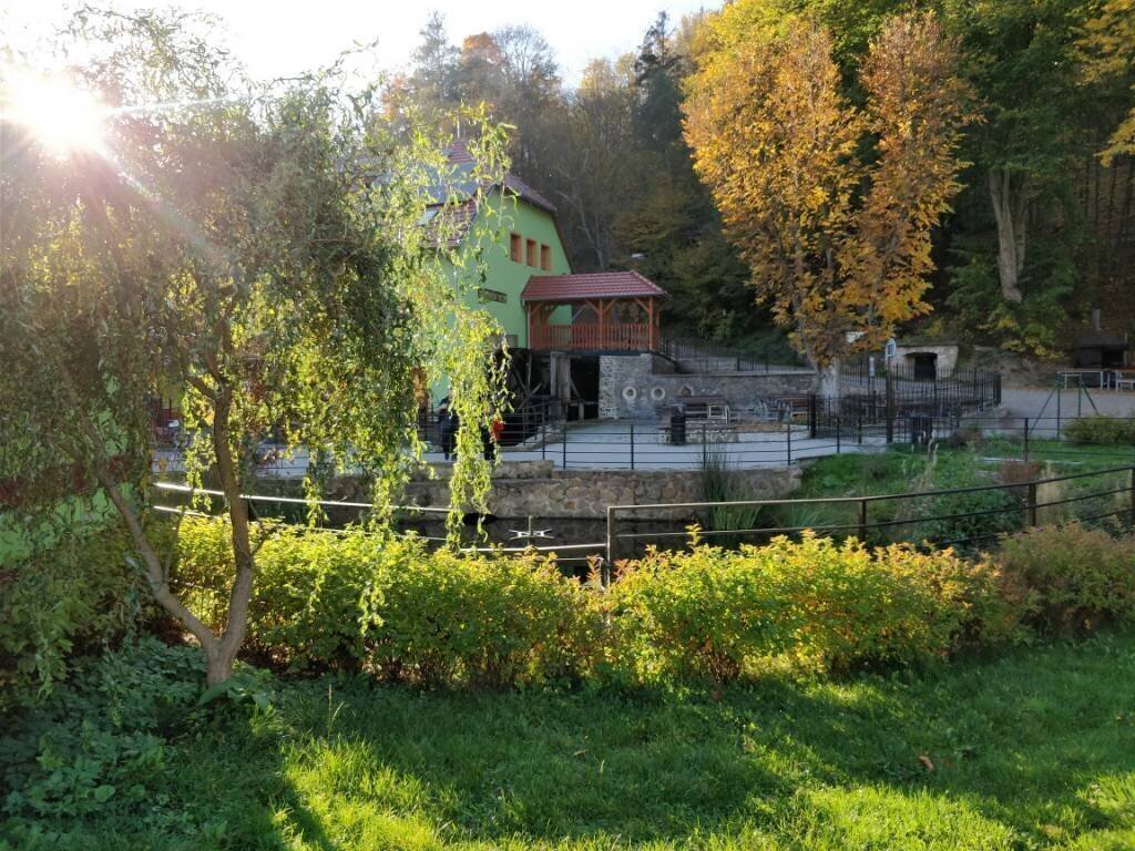 Obrázek
