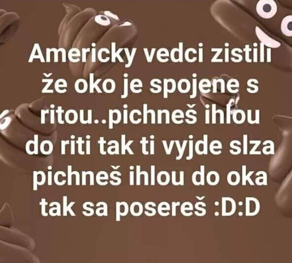 Obrázek