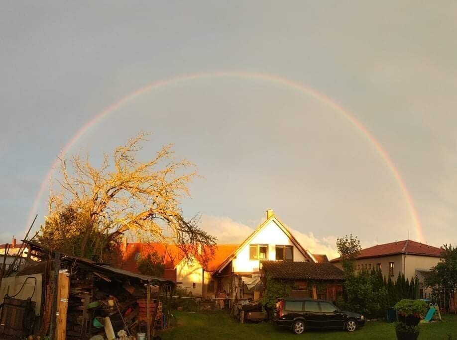 Obrázek