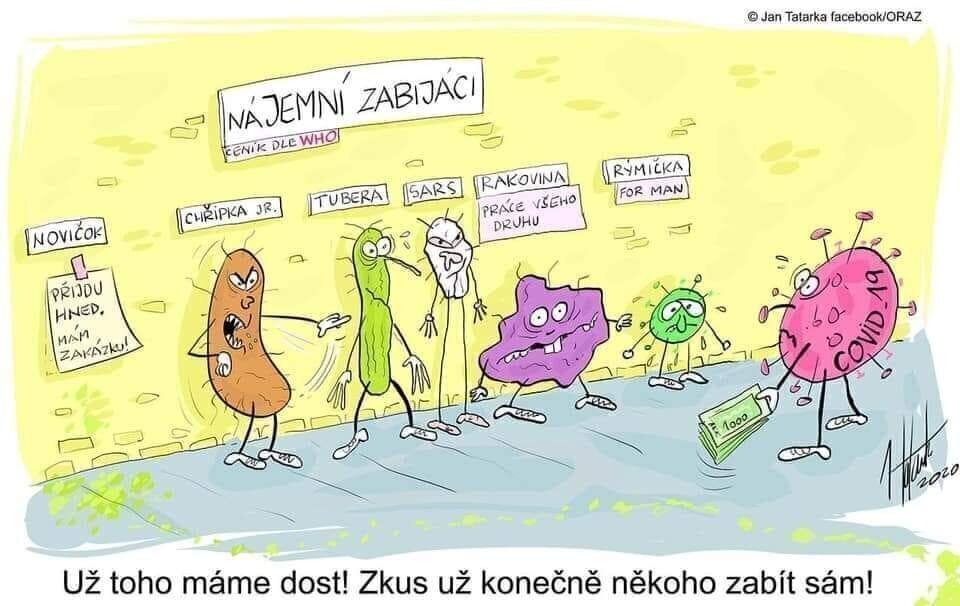 Obrázek