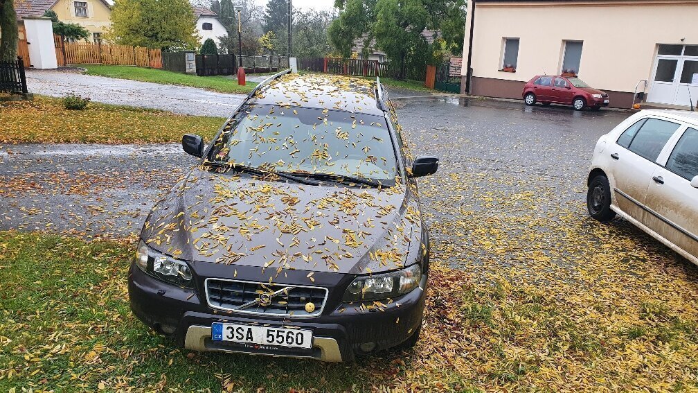 Obrázek