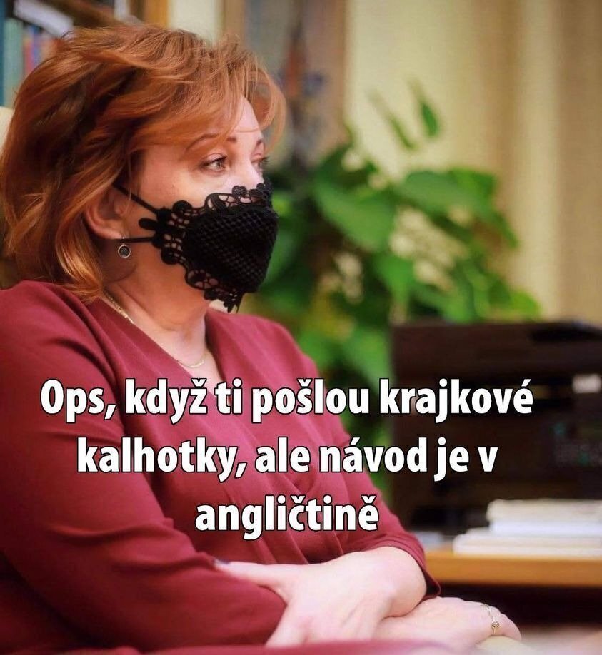 Obrázek