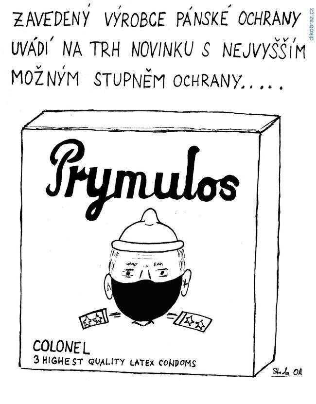 Obrázek
