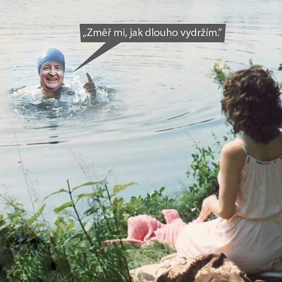 Obrázek