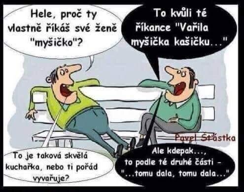 Obrázek