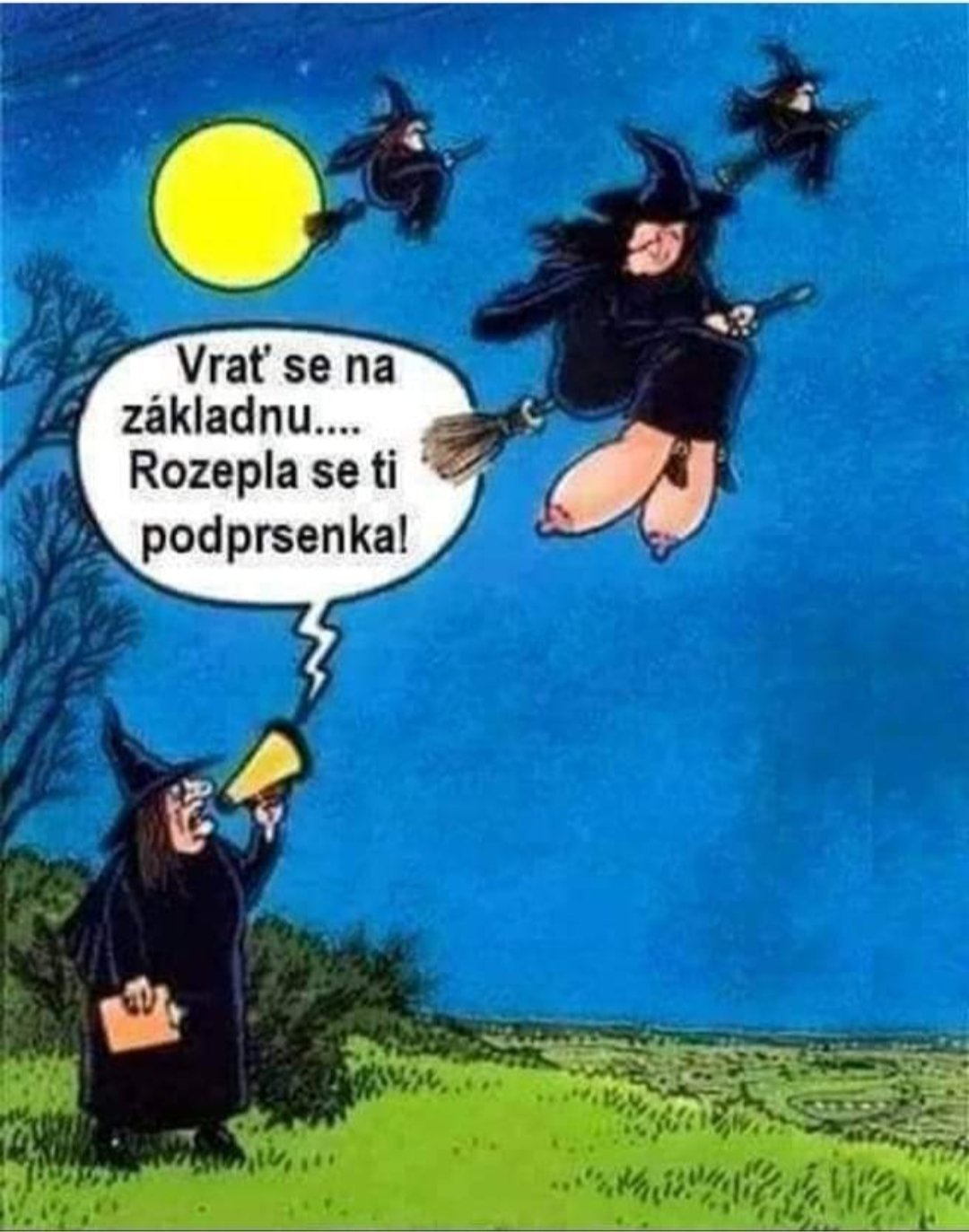 Obrázek