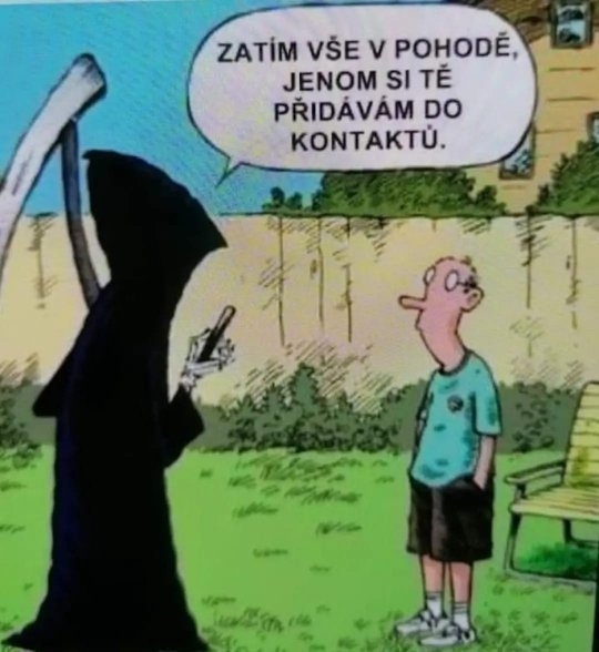 Obrázek